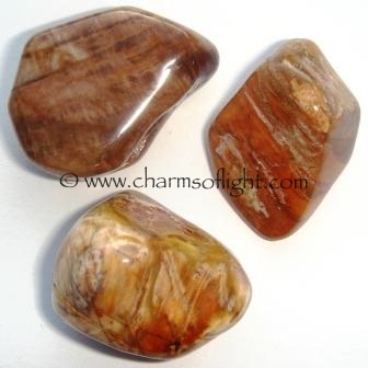 Petrified Wood Tumble Stones